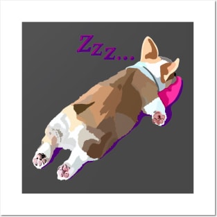 Corgi is sleeping Posters and Art